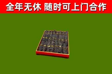 肇州县回收海参